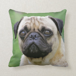 Coussin Le chien de carlin