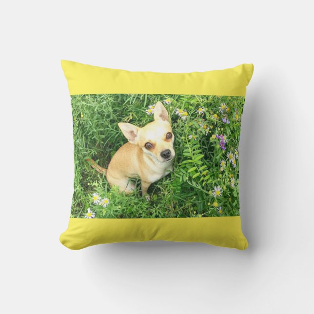 Coussin Le chihuahua jaune lance l'oreiller. (Recto)