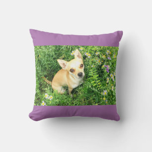 Coussin Le chihuahua violet lance l'oreiller.