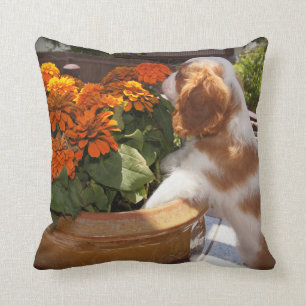 Coussin Le chiot cavalier d'épagneul du Roi Charles sent