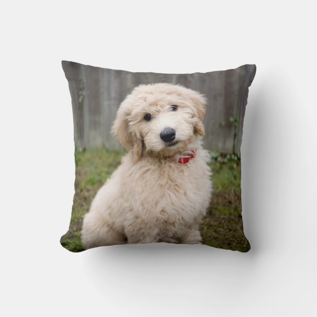 Coussin Le Chiot De Goldendoodle S'Assis Dans L'Herbe (Recto)