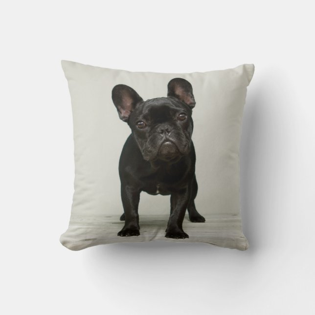 Coussin Le chiot le plus mignon de bouledogue français (Recto)
