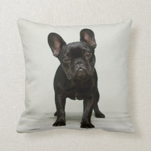 Coussin Le chiot le plus mignon de bouledogue français