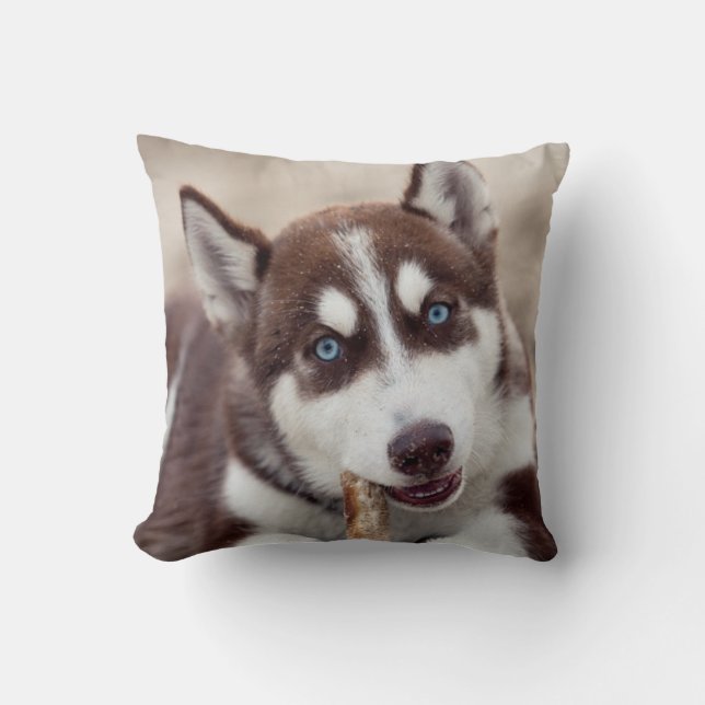 Coussin Le chiot sibérien Husky à la plage (Recto)