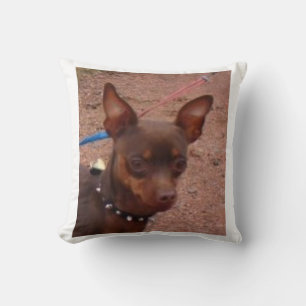 Coussin le chocolat minimum de goupille et se bronzent