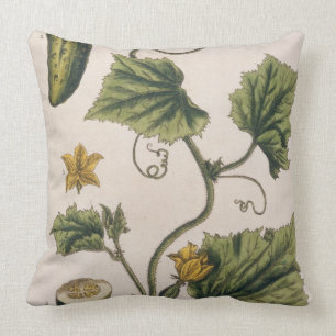 Coussin Le concombre de jardin, plaquent 4 "d'un de fines
