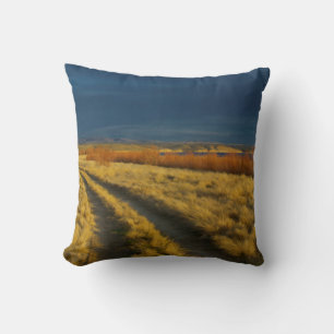 Coussin Le coucher de soleil met en valeur l'écorce rouge 