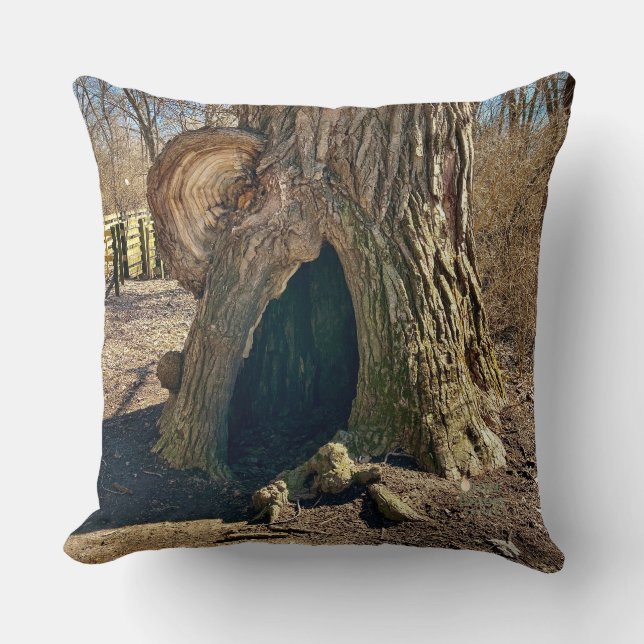 Coussin Le Creux Curieux (Recto)