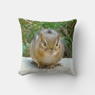 Coussin Le Cute Chipmunk A L'Oeil Sur Vous