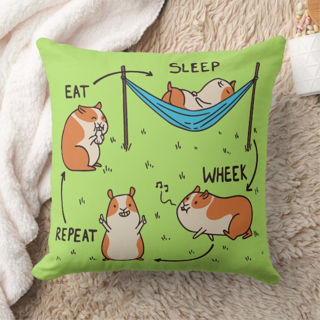 Coussin Le cycle de vie d'un cobaye (Couverture)