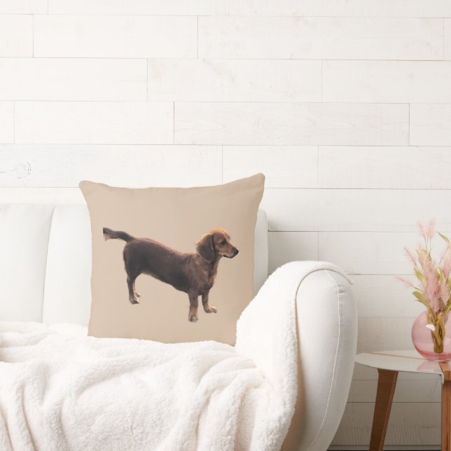 Coussin Le Dachshund d'or (Canapé)