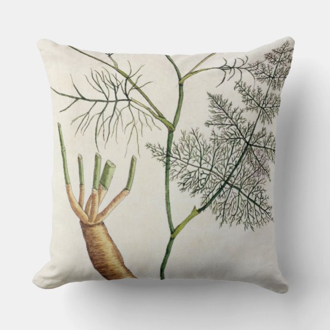 Coussin Le fenouil, plaquent 288 "d'un de fines herbes (Recto)