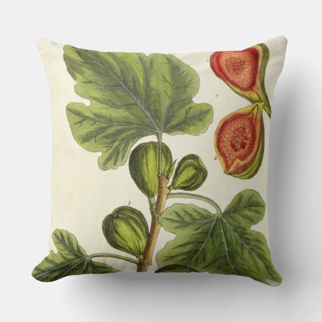 Coussin Le figuier, plaquent 125 "d'un de fines herbes (Recto)