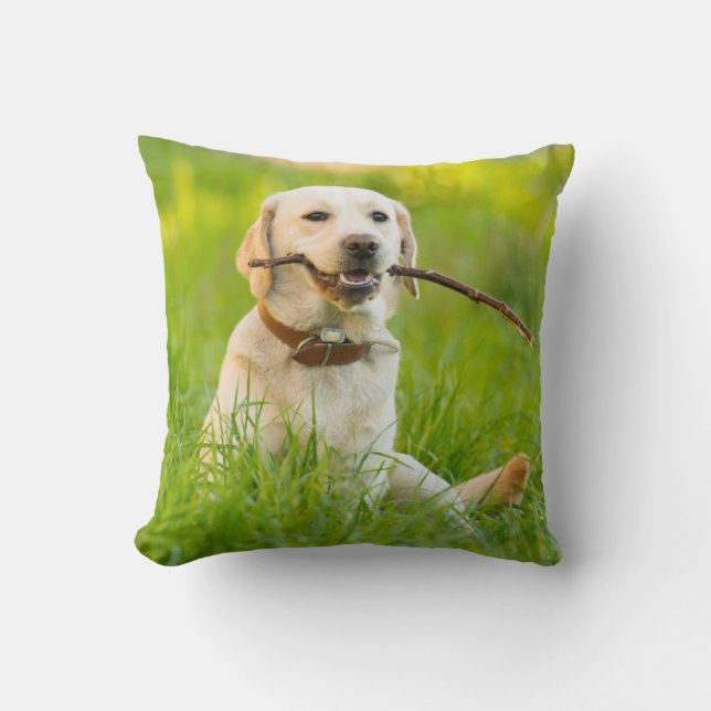 Coussin Le Labrador Jaune se rapproche avec un bâton (Recto)
