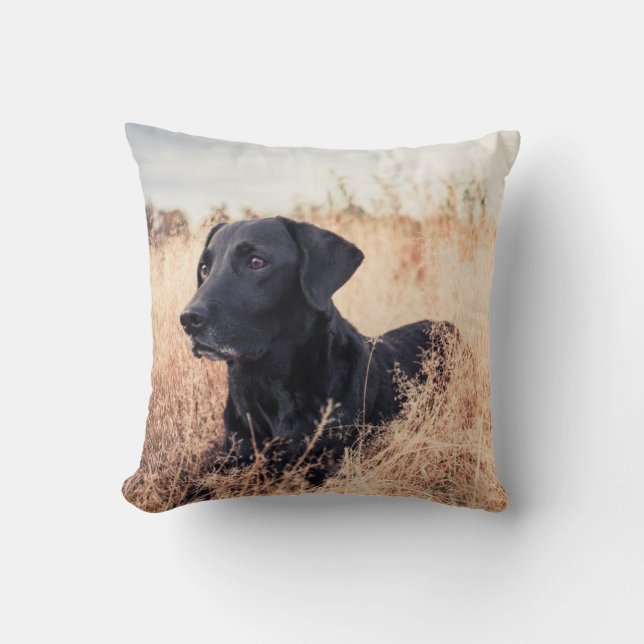 Coussin Le Labrador Noir En Graine Sèche (Recto)