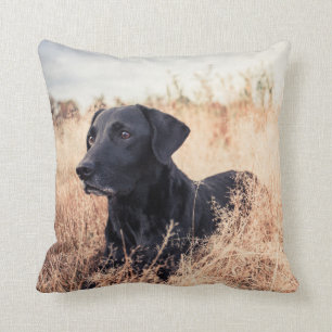 Coussin Le Labrador Noir En Graine Sèche
