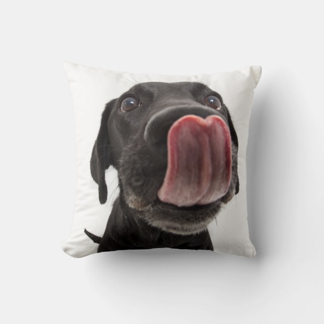 Coussin Le Labrador Noir se lâche le nez (Recto)