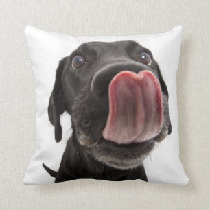 Coussin Le Labrador Noir se lâche le nez
