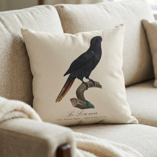 Coussin Le Lori noir / Lory noir