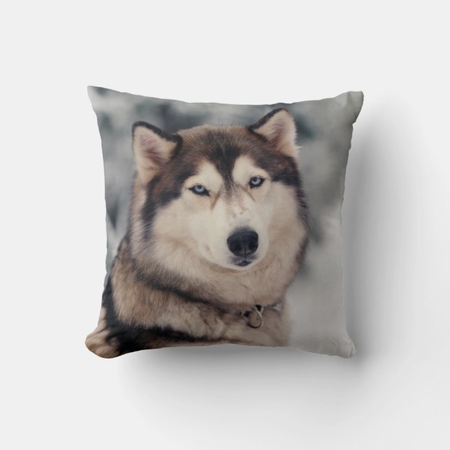 Coussin Le magnifique Husky en plein air (Recto)