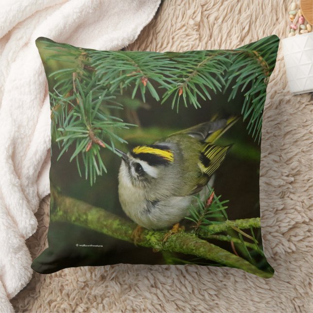 Coussin Le mignon oiseau chanteur Kinglet provoque un remu (Couverture)