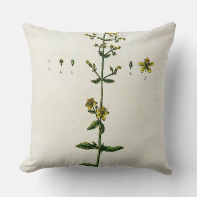Coussin Le moût de St John, plaquent 15 "d'un de fines (Recto)