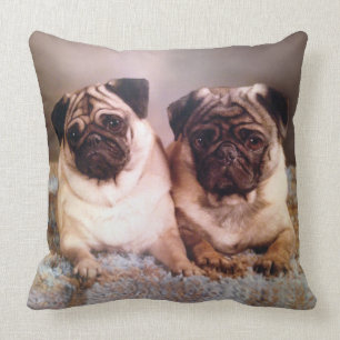 Coussin Le NOM ou l'amour sans conditions d'animal