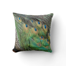 Le paon fait varier le pas des couleurs vertes et