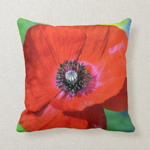 Coussin Le pavot rouge sous la lumière du soleil
