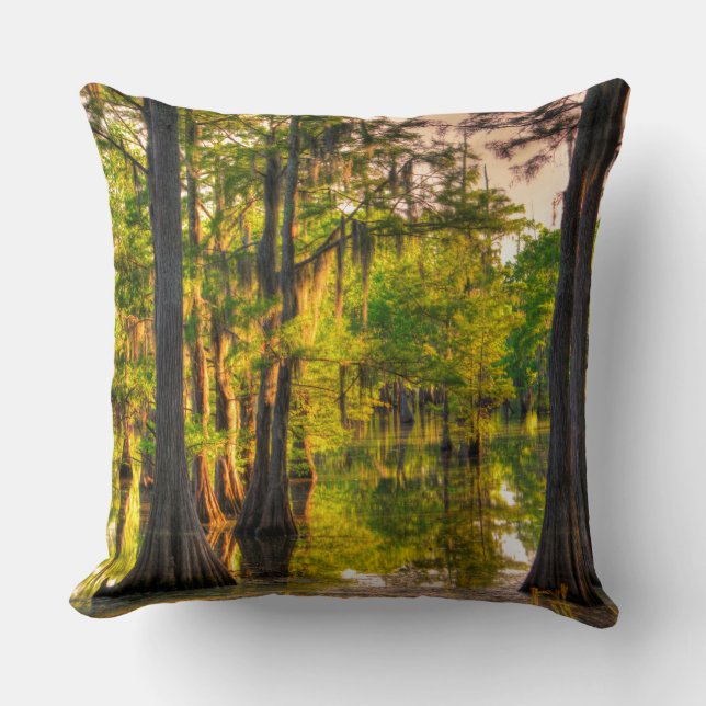 Coussin Le Printemps Au Bayou (Recto)