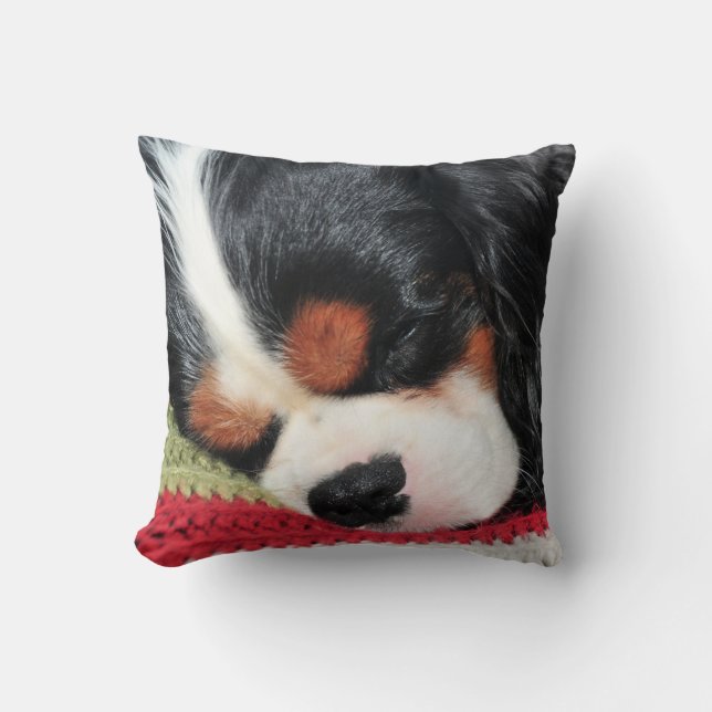 Coussin Le Roi cavalier Charles Tri-Color Pillow (Recto)
