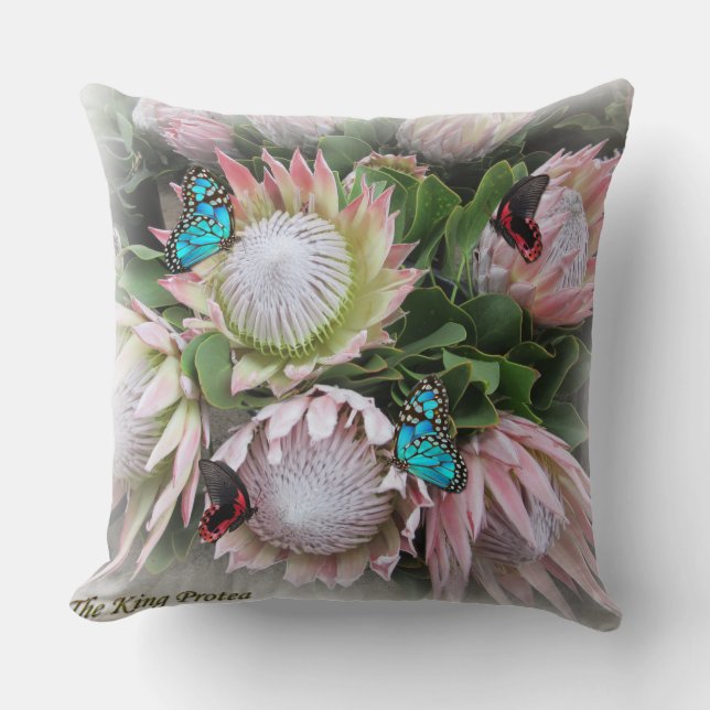 Coussin Le roi Protea (Recto)