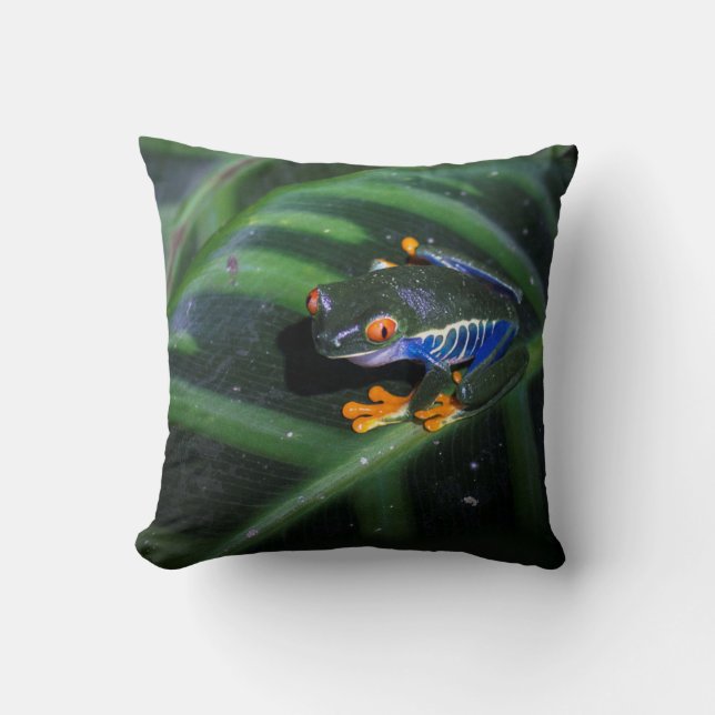 Coussin Le rouge observe la grenouille sur la feuille (Recto)