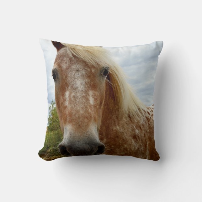 Coussin "Le sucre : la grâce de l'Appaloosa" (Recto)