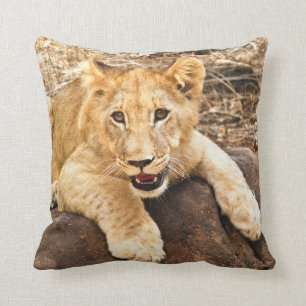 Coussin Le tigre CUB prend le reniflard sur une roche