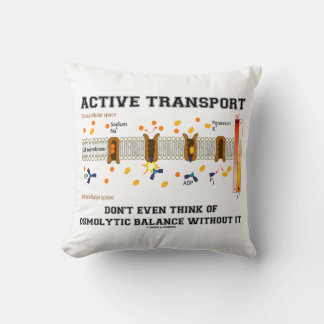 Coussin Le transport actif ne pense pas à l'équilibre osmo