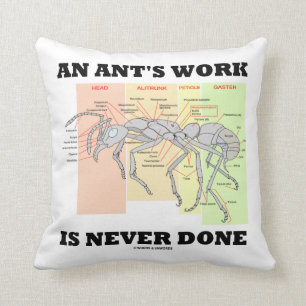 Coussin Le travail d'une fourmi n'est jamais fait (Anatomi