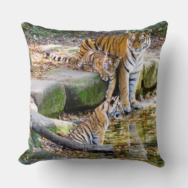 Coussin Leçons De Vie Mère Tigre Et Cubs (Recto)