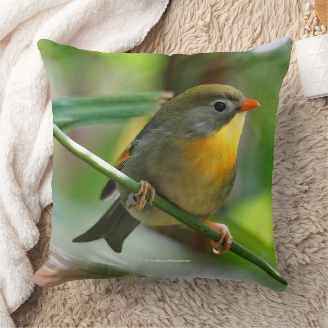 Coussin Leiothrix coloré Pekin Robin Songbird (Couverture)