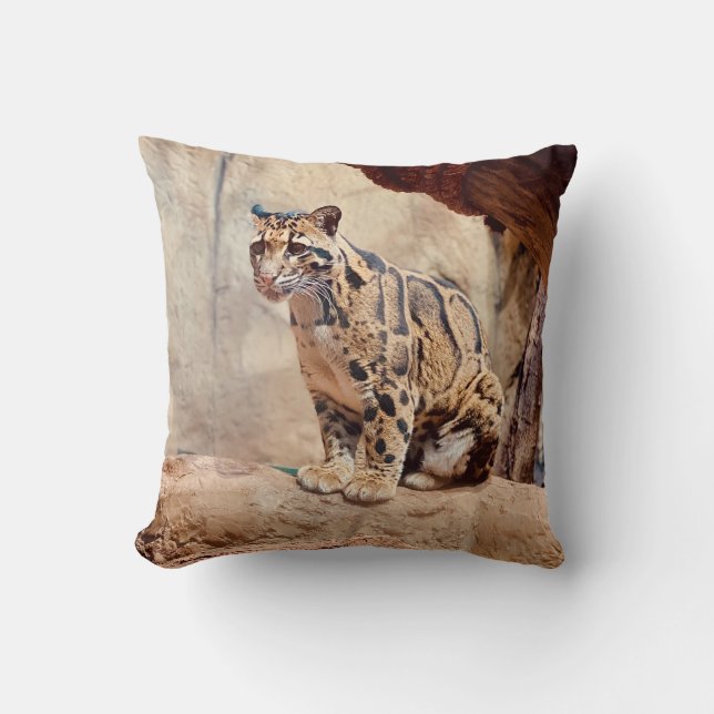 Coussin léopard nébuleux image nature faune exotique (Recto)