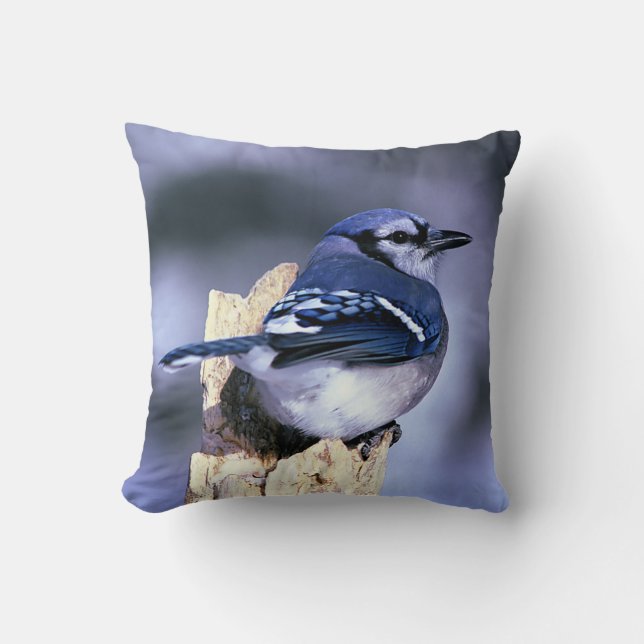 Coussin Les amateurs d'oiseaux de Jay Bleu (Recto)