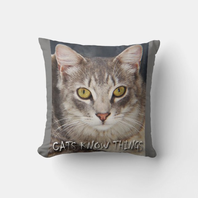 COUSSIN LES CHATS SAVENT DES CHOSES  (Recto)