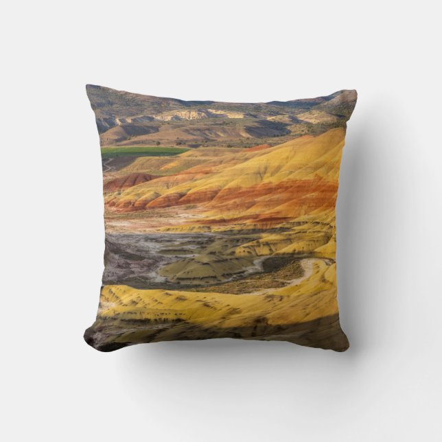Coussin Les collines peintes dans les lits de fossiles de  (Recto)
