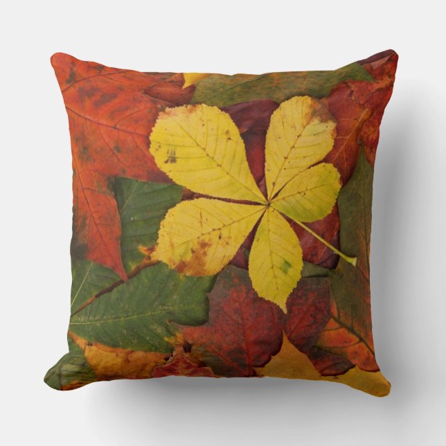 Coussin Les Feuilles De Chute Rustiques Couvrent Le Sol (Recto)