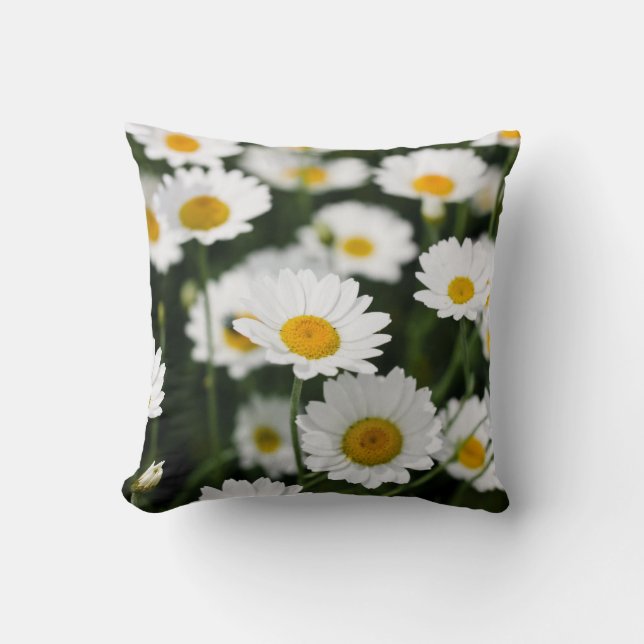 Coussin Les fleurs sauvages de marguerite se ferment (Recto)