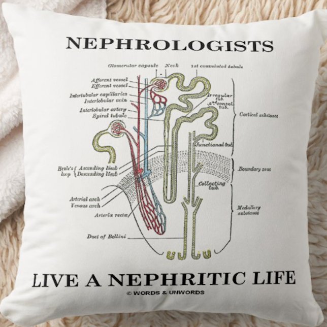 Coussin Les Néphrologistes Vivent Une Vie Néphritique (Nép (Throw pillow featuring a kidney's nephron and cheeky medical saying for any nephrologist)