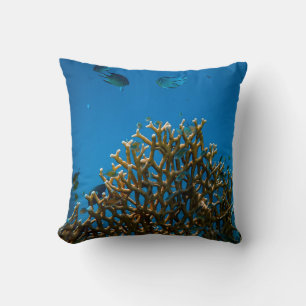 Coussin Les récifs colorés