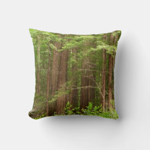 Coussin Les séquoias au monument national de Muir Woods