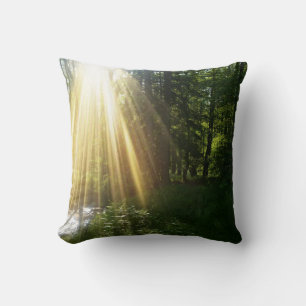 Coussin Lever du soleil dans la forêt