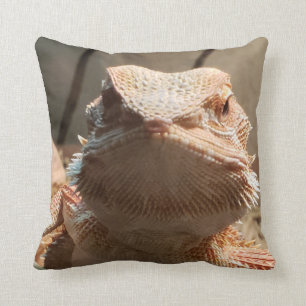 Coussin Lézard de Dragon